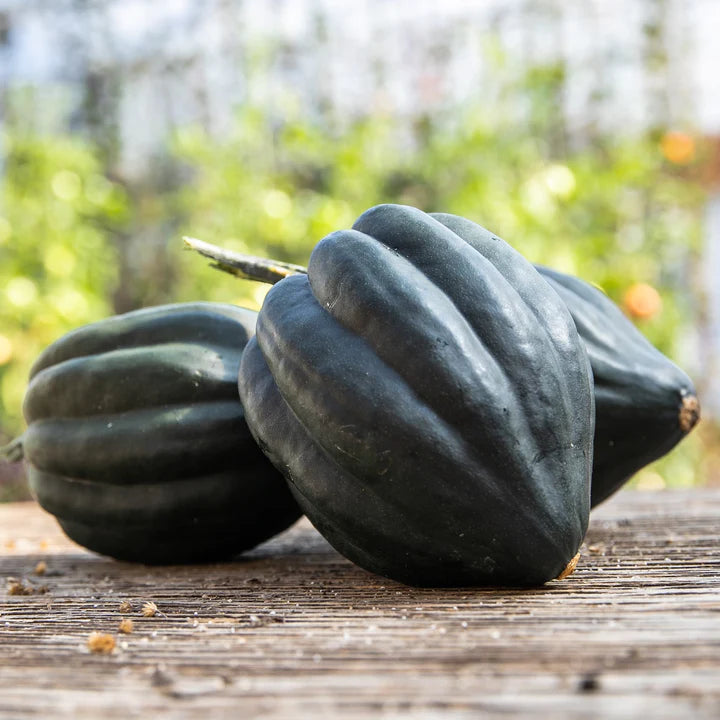 Recette de courge POIVRÉE farcie